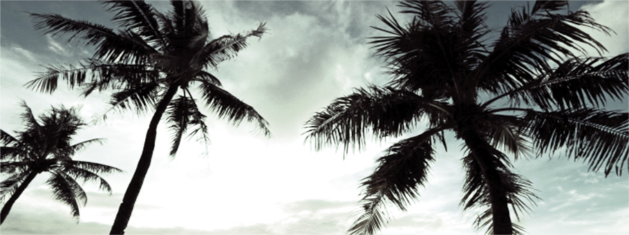 西新井 BiBi-ビビ まつ毛エクステ コスメティックタトゥー